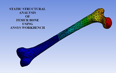 Finite Element Analysis